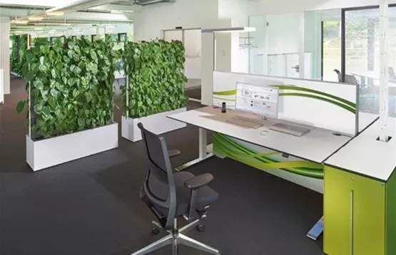 Weißes Heckenelement mit Philodendron, das zwei Arbeitsbereiche trennt