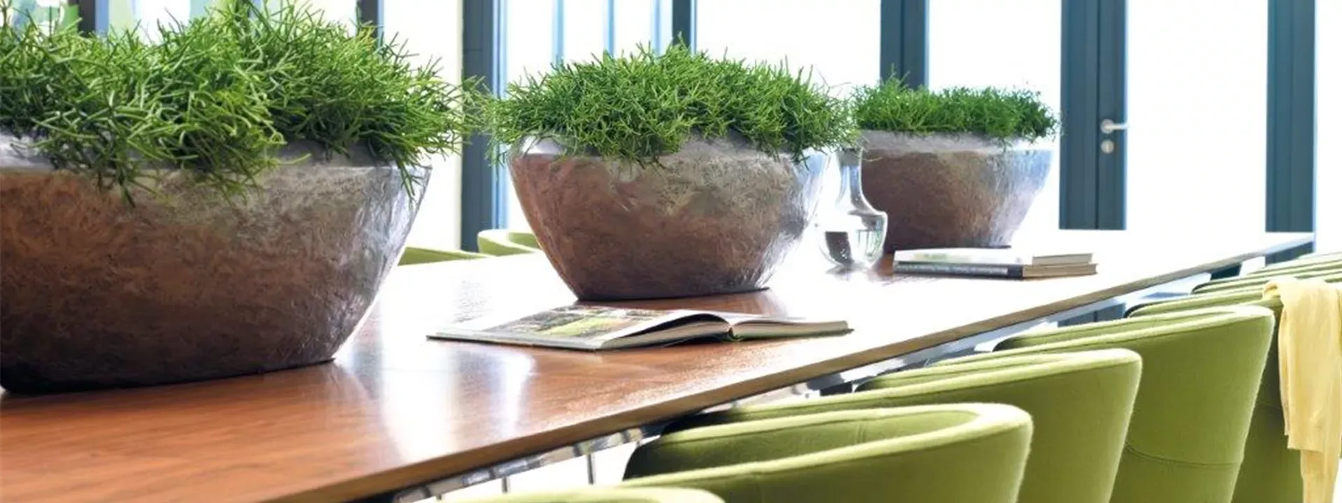 Ovales Aluminiumgefäß mit überhängender Rhipsalis cereuscula