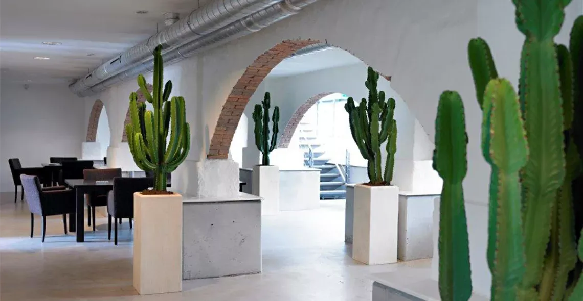 Polystone Square, Natural — Euphorbia ingens