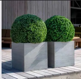 Würfelgefäße in Betonoptik mit Buchskugeln
